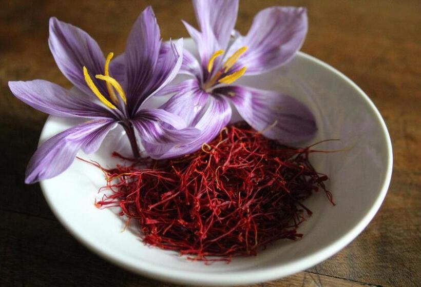 호텔 Azienda Agricola Garoglio Davide