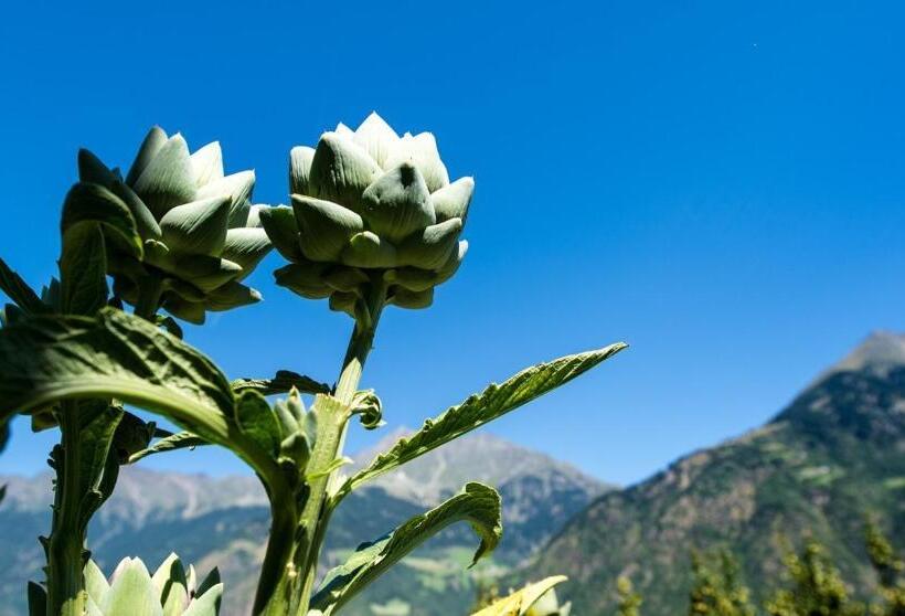 בית מלון כפרי Biohof Niedereben