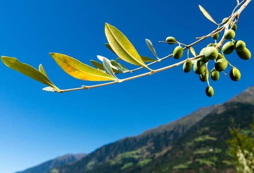 בית מלון כפרי Biohof Niedereben