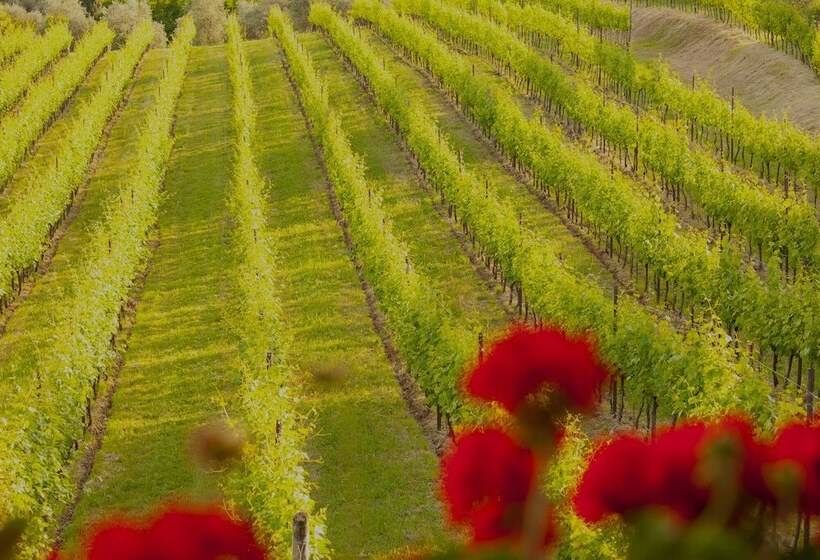 酒店 Costa Degli Ulivi