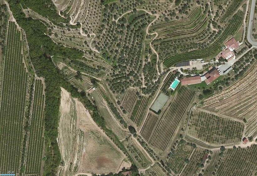 酒店 Costa Degli Ulivi