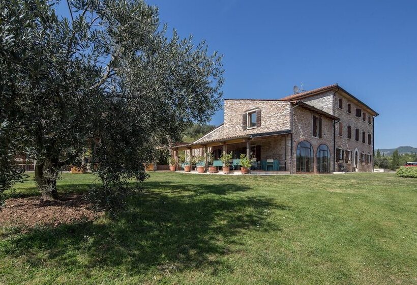 酒店 Costa Degli Ulivi