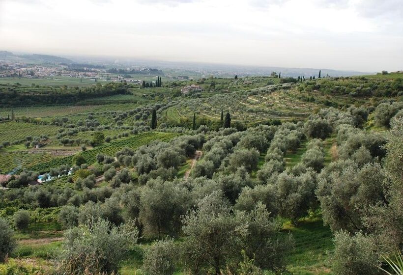 酒店 Costa Degli Ulivi