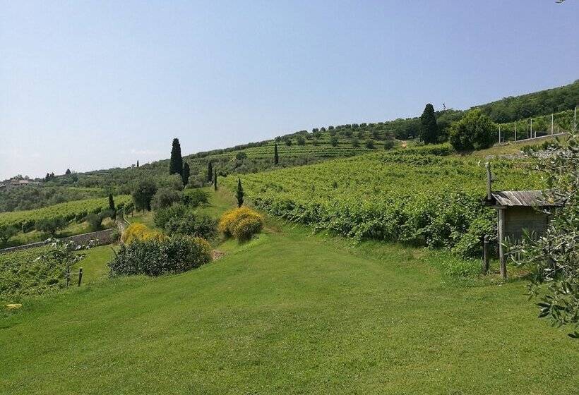 酒店 Costa Degli Ulivi