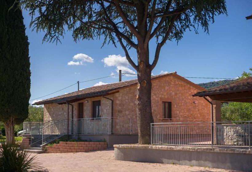 בית מלון כפרי Lagolivo