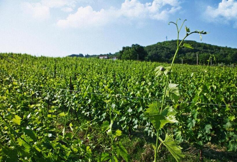 فندق Tenuta Carbognano