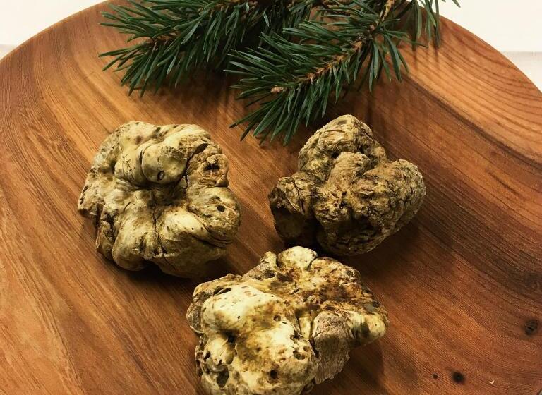 פנסיון Confrérie Du Moyen âge