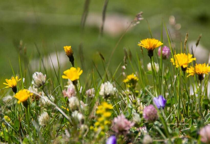 פנסיון Le3stanze