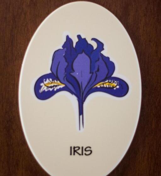 بنسيون Ristorante Buasca