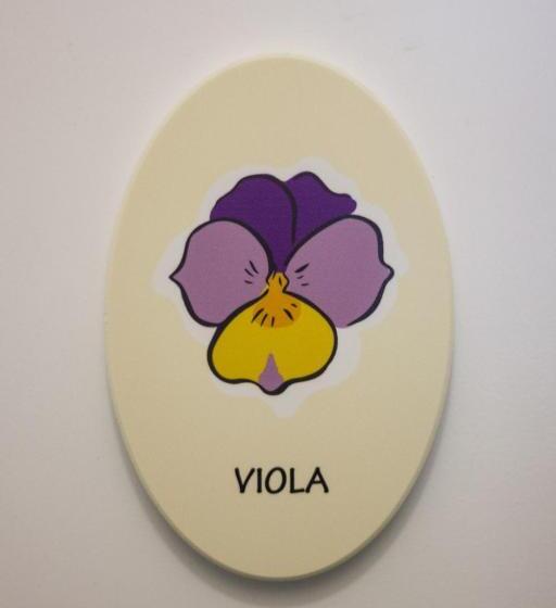 بنسيون Ristorante Buasca