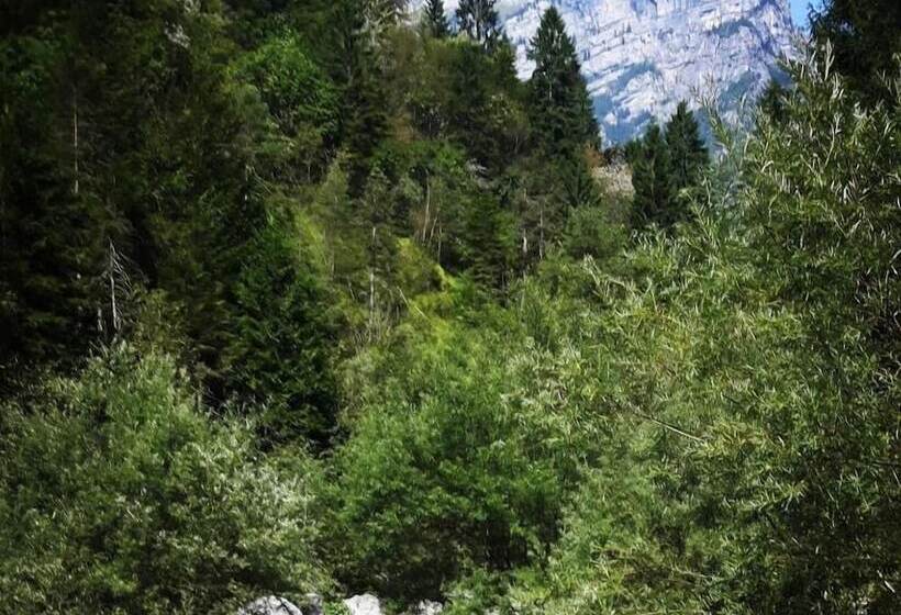 Bed and Breakfast Green Rose