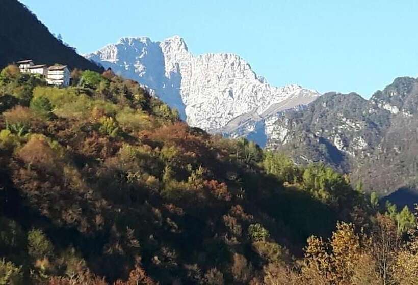 Bed and Breakfast Green Rose