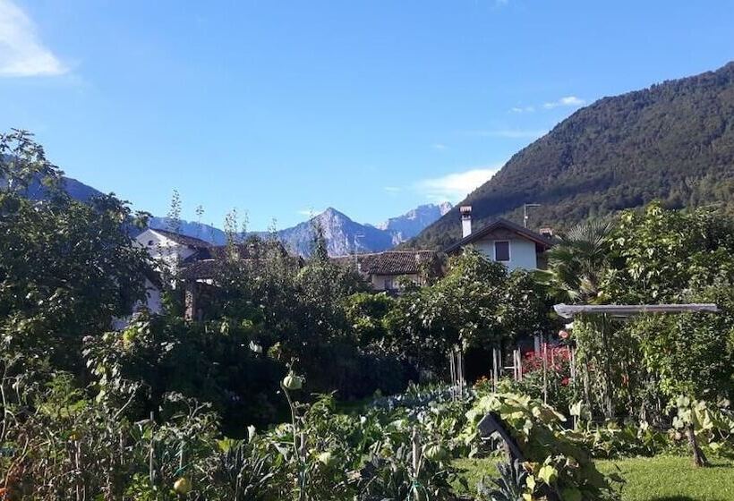 Bed and Breakfast Green Rose