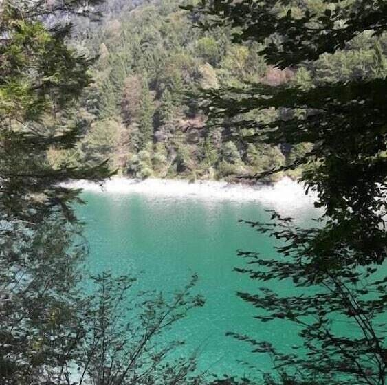 Bed and Breakfast Green Rose