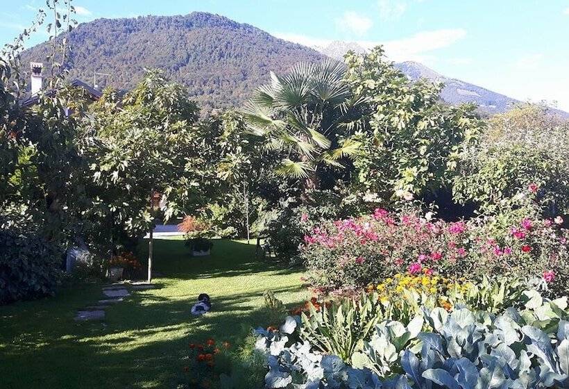 Bed and Breakfast Green Rose