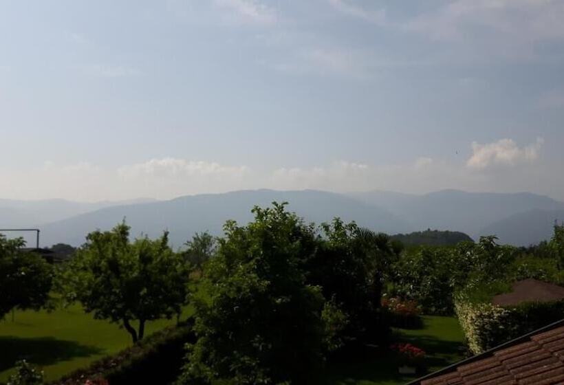 Bed and Breakfast Green Rose