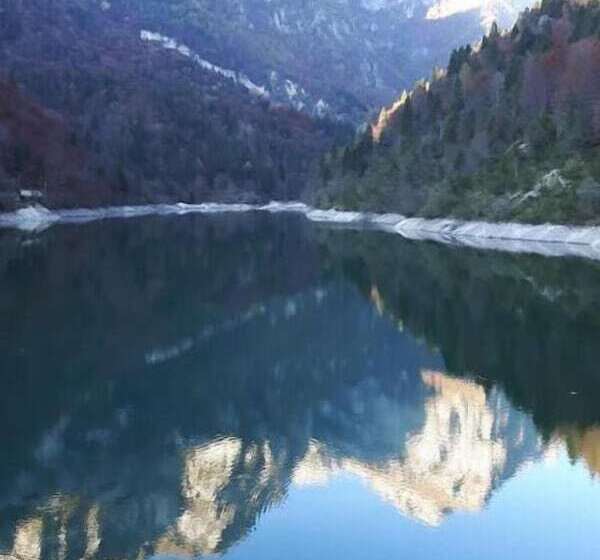 Bed and Breakfast Green Rose