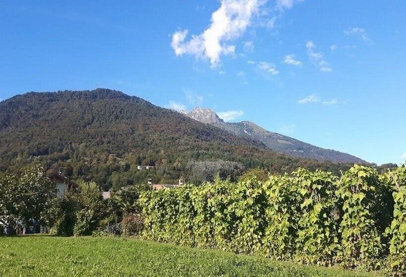 Bed and Breakfast Green Rose