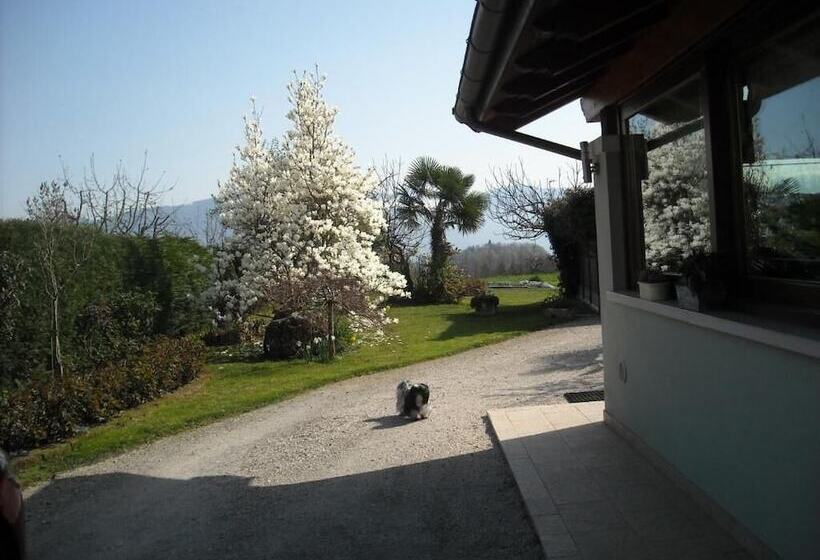 Bed and Breakfast Green Rose