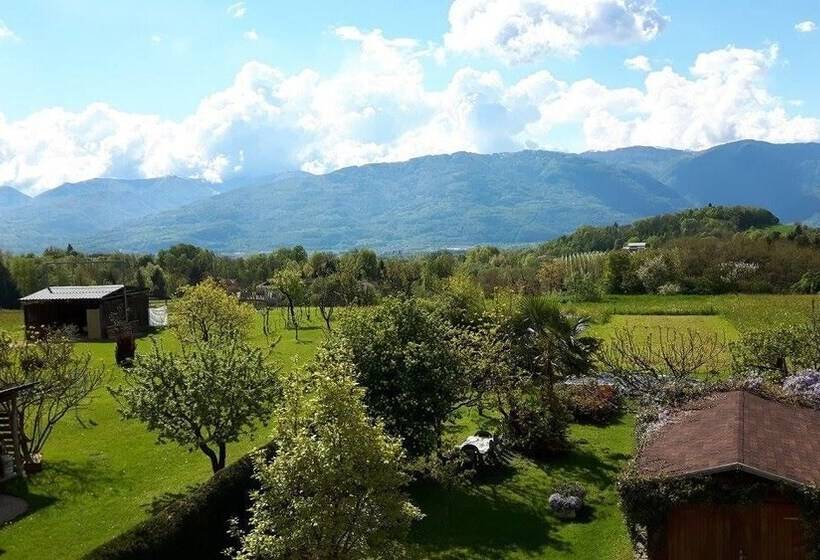 Bed and Breakfast Green Rose