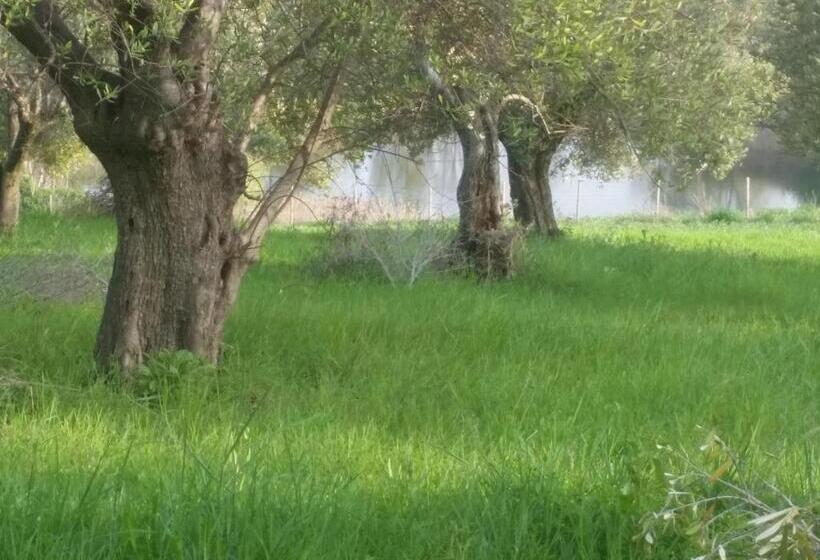 Country House Ciliegia Rossa