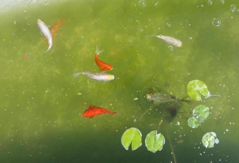 Country House Ciliegia Rossa