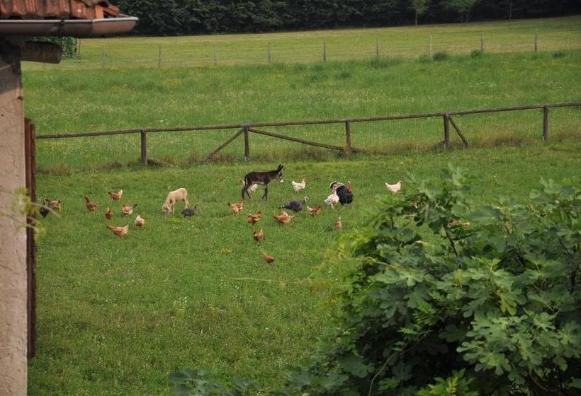 Отель Agriturismo Antica Pieve