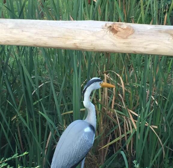 בית מלון כפרי Agriturismo Da Mamma