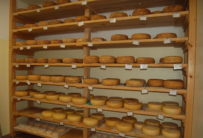 호텔 Agriturismo I Due Angeli