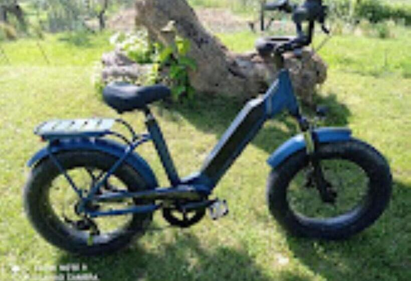 בית מלון כפרי Agriturismo Il Bacucco