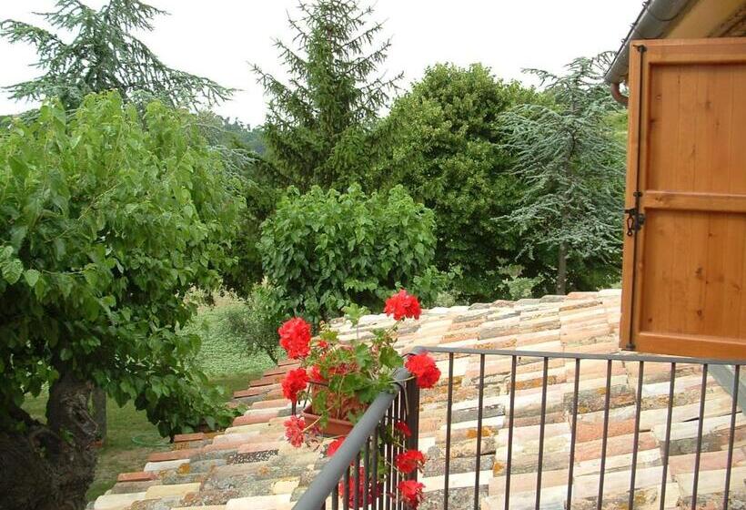 בית מלון כפרי Agriturismo Il Bacucco