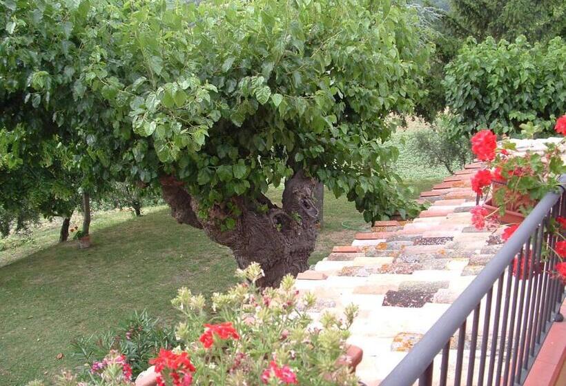 בית מלון כפרי Agriturismo Il Bacucco