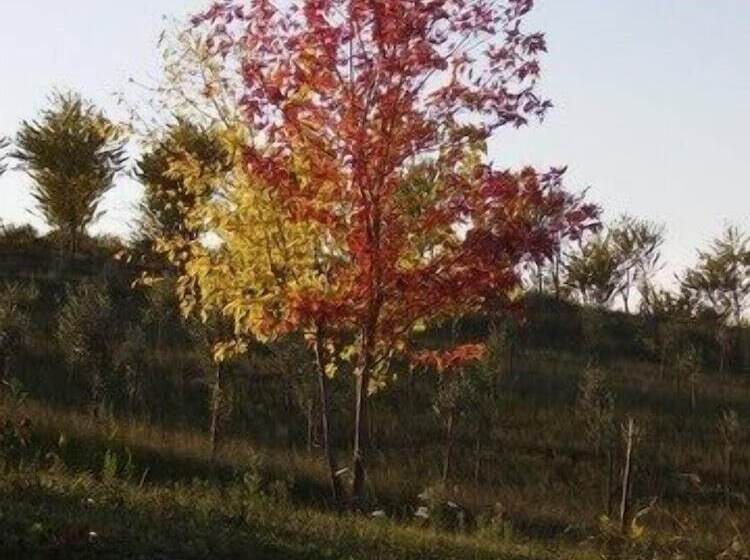 ホテル Agriturismo Monte Valbelle