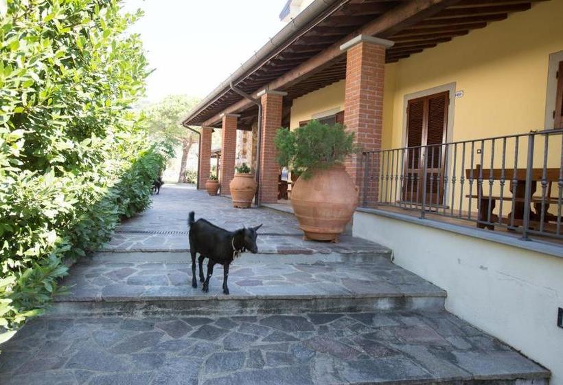 בית מלון כפרי Agriturismo Poggetto