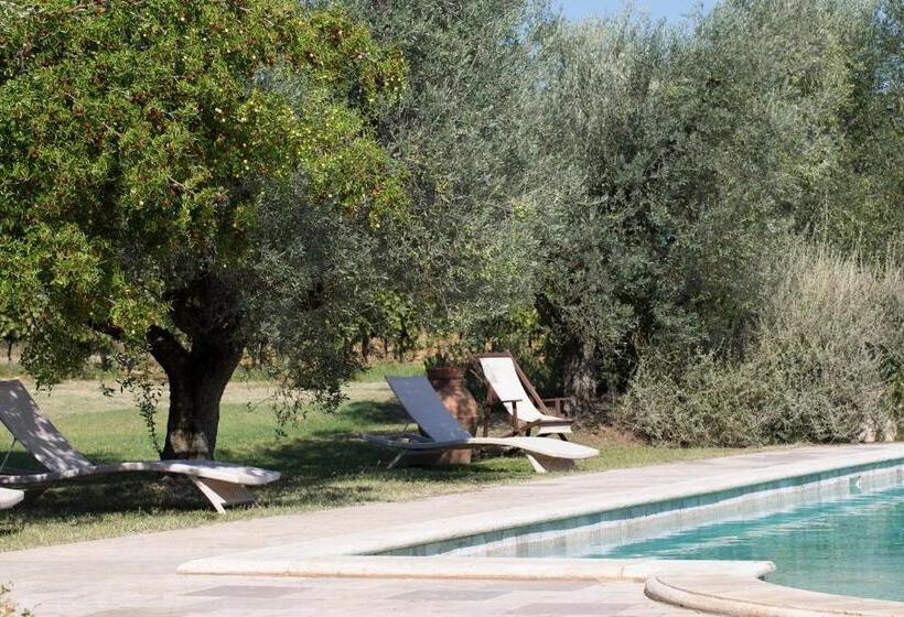 Отель Agriturismo Tra Gli Ulivi, Chiappini