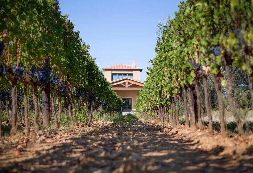 Отель Agriturismo Tra Gli Ulivi, Chiappini