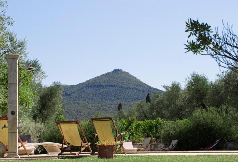 Отель Agriturismo Tra Gli Ulivi, Chiappini