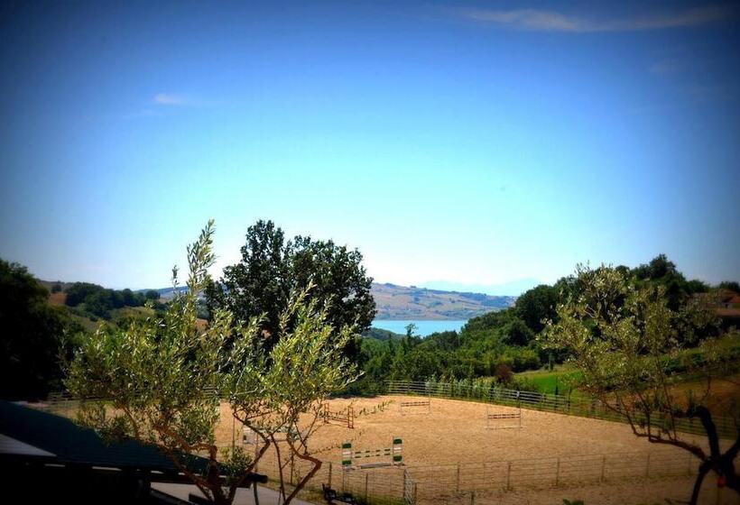 Отель Agriturismo Yes Boss