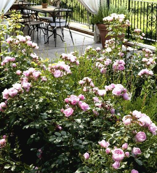 호텔 Ca' Piadera Wine Relais