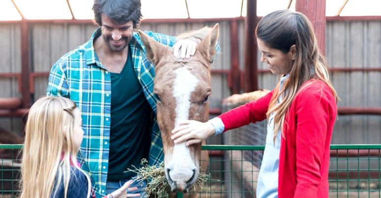 ホテル La Vista Del Taburno