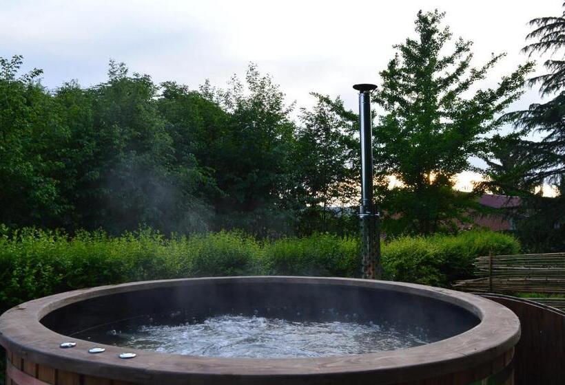 Отель La Volpe E L'uva