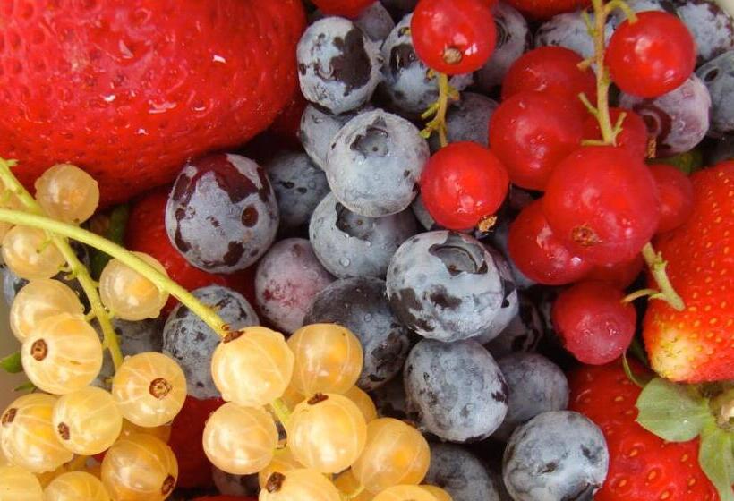 Отель La Volpe E L'uva