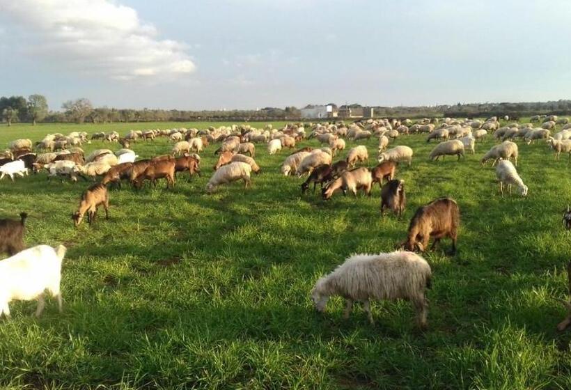 בית מלון כפרי Masseria La Fica