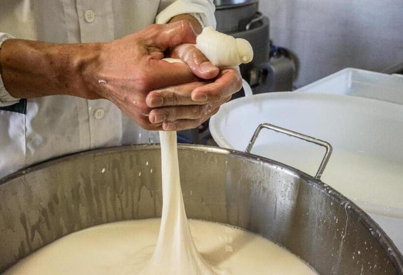 בית מלון כפרי Masseria La Fica