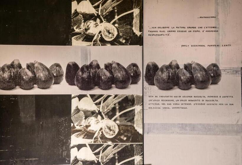 בית מלון כפרי Masseria La Fica