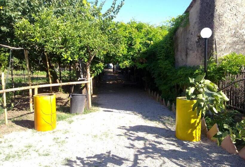 בית מלון כפרי Masseria Sparano