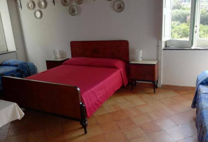 בית מלון כפרי Masseria Sparano