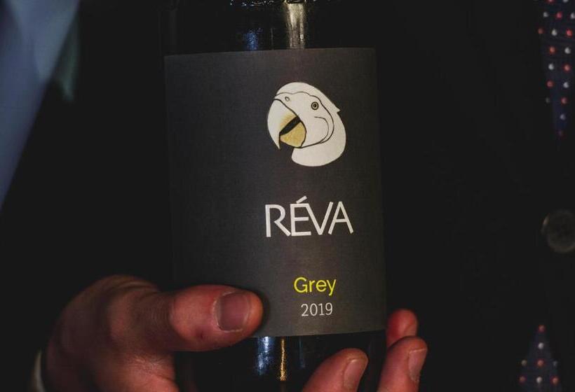 בית מלון כפרי Reva Resort