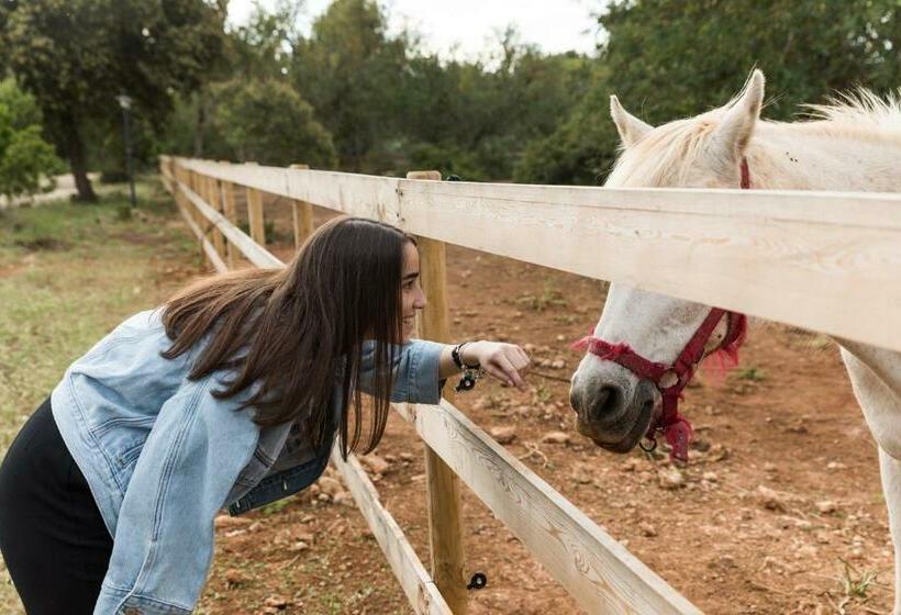 酒店 Tenuta Ferraro Gallipoli