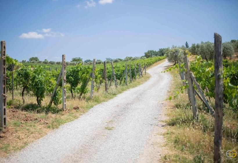 호텔 Terre Di Melazzano   Le Case Di Patrizia